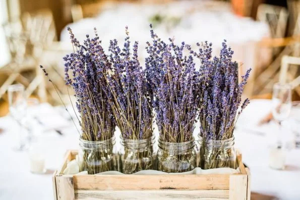Cele mai bune 9 flori de nunta vara, potrivit florarilor 5 Cele mai bune 9 flori de nunta vara, potrivit florarilor