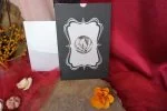 Invitatii nunta carton argintiu relief figurina sidefata plic inclus 13 x 19 cm