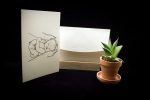 Invitatii botez model tip carte 13