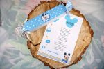 Mesaj Bun venit intampinare invitaţi model Mickey Mouse
