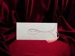 Invitatii nunta cu un snur cu franjuri 10 x 25.5 cm