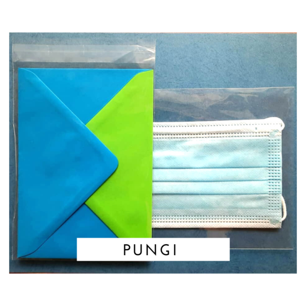Pungi celofan autoadezive 86x113mm