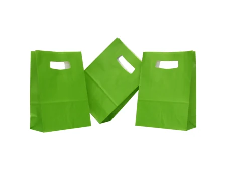 Punga hartie VERDE DESCHIS cu maner decupat 14x7x21cm