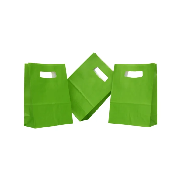 Punga hartie VERDE DESCHIS cu maner decupat 14x7x21cm