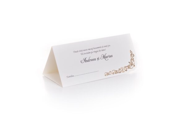 Plicuri bani elegante nunta 9 x 20cm auriu