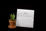 Plicuri bani elegante nunta 15×15cm alb