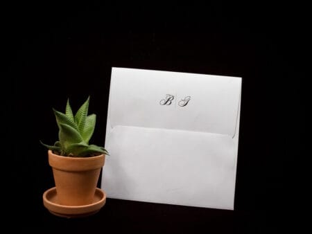 Plicuri bani elegante nunta 15×15cm alb