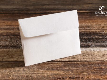 Plicuri bani elegante nunta 12