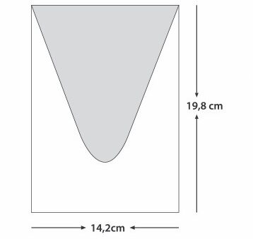 Plicuri bani elegante nunta 14.2 x 19.8cm negru