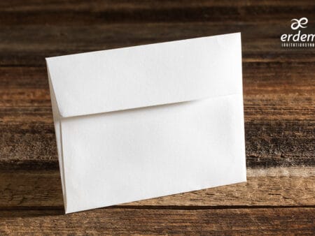 Plicuri bani elegante nunta 12