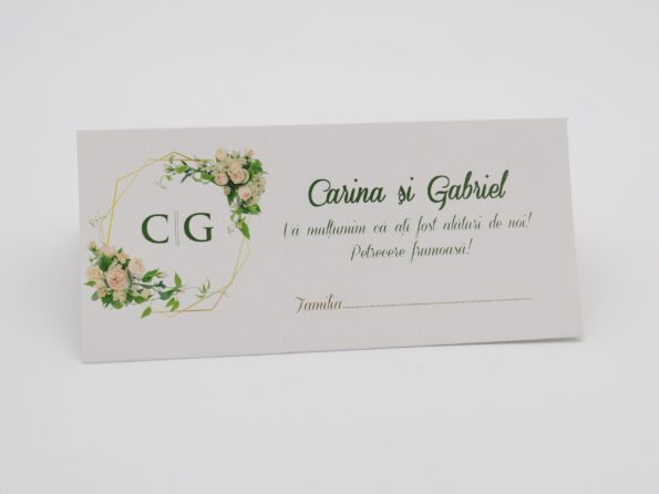 Plicuri bani elegante nunta 9 x 20cm verde