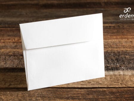 Plicuri bani elegante nunta 11