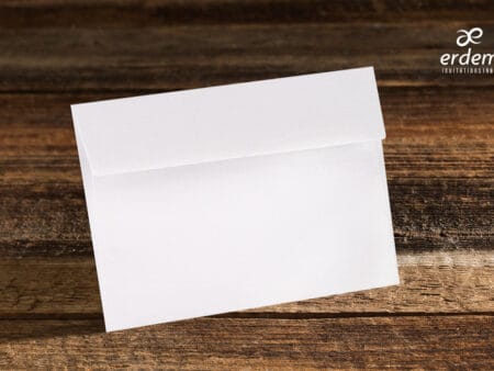 Plicuri bani elegante nunta 11