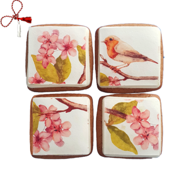 Set Turta dulce pasarele in cires