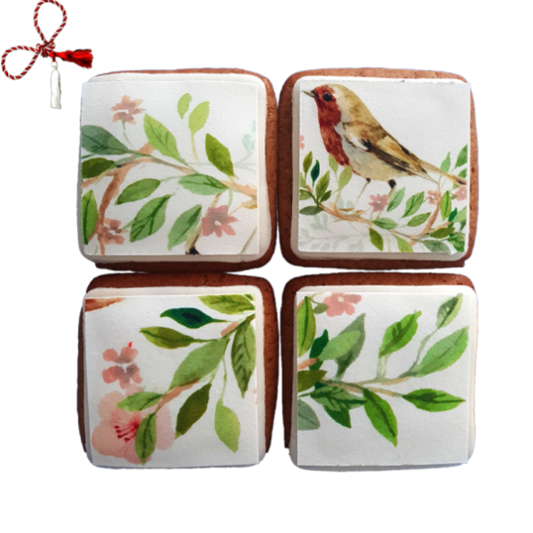 Set Turta dulce pasarele
