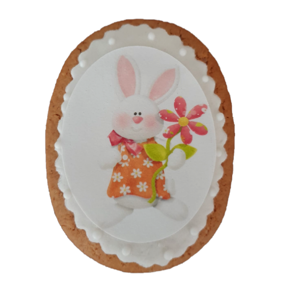 Biscuite Turta dulce iepuras cu floricica