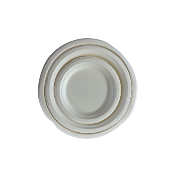 Farfurie rotunda din trestie zahar 23 cm SET 50buc