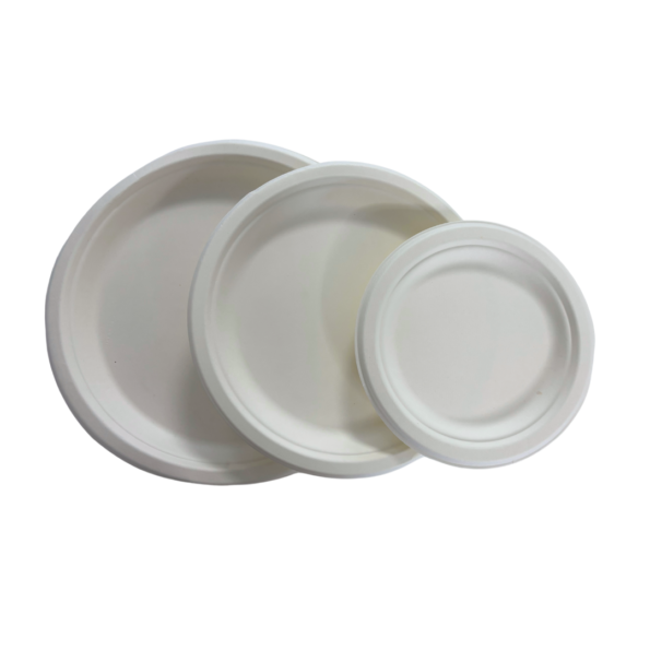 Farfurie rotunda din trestie zahar 23 cm SET 50buc
